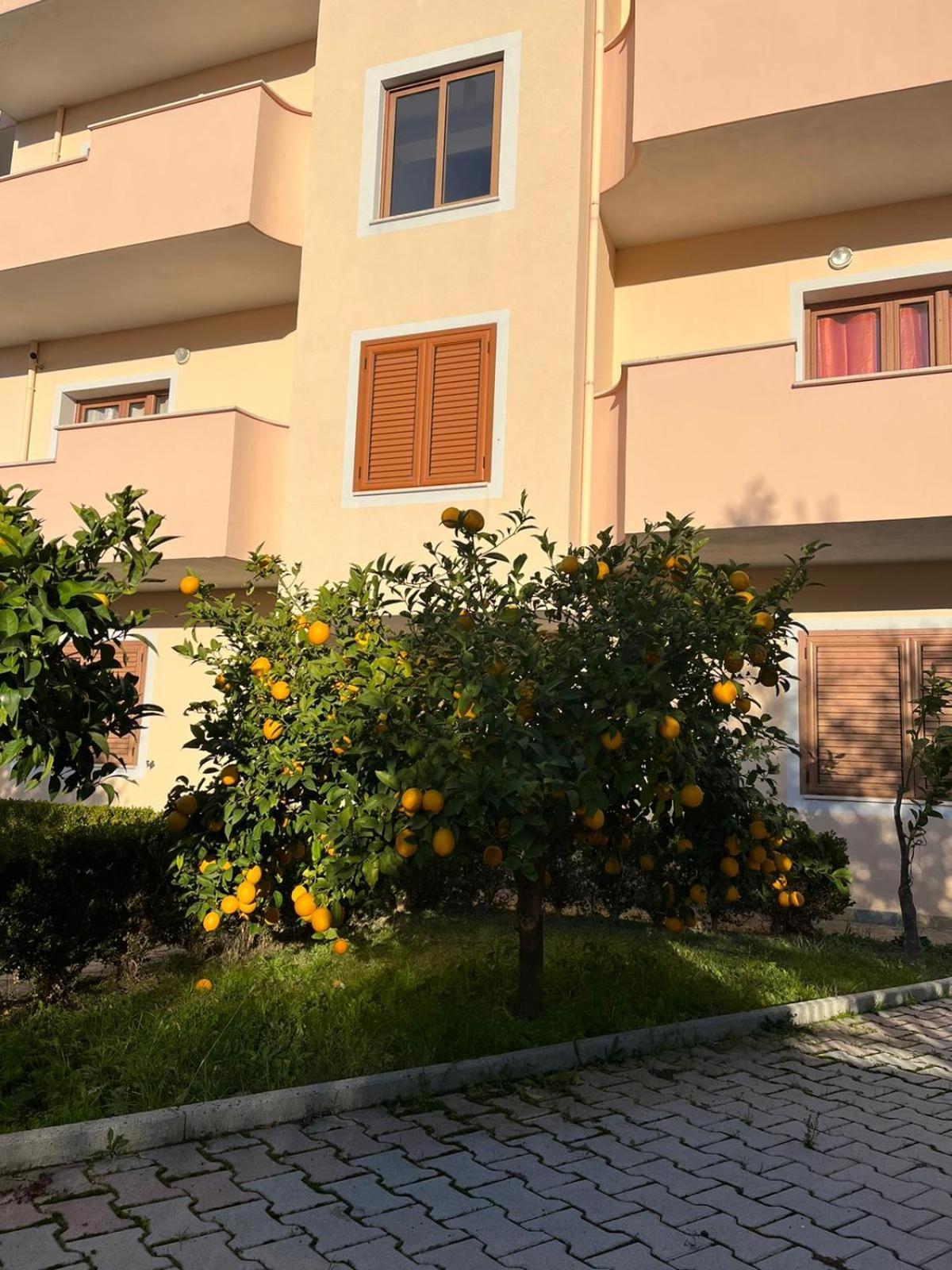 Villa Dei Limoni Škalngur 외부 사진