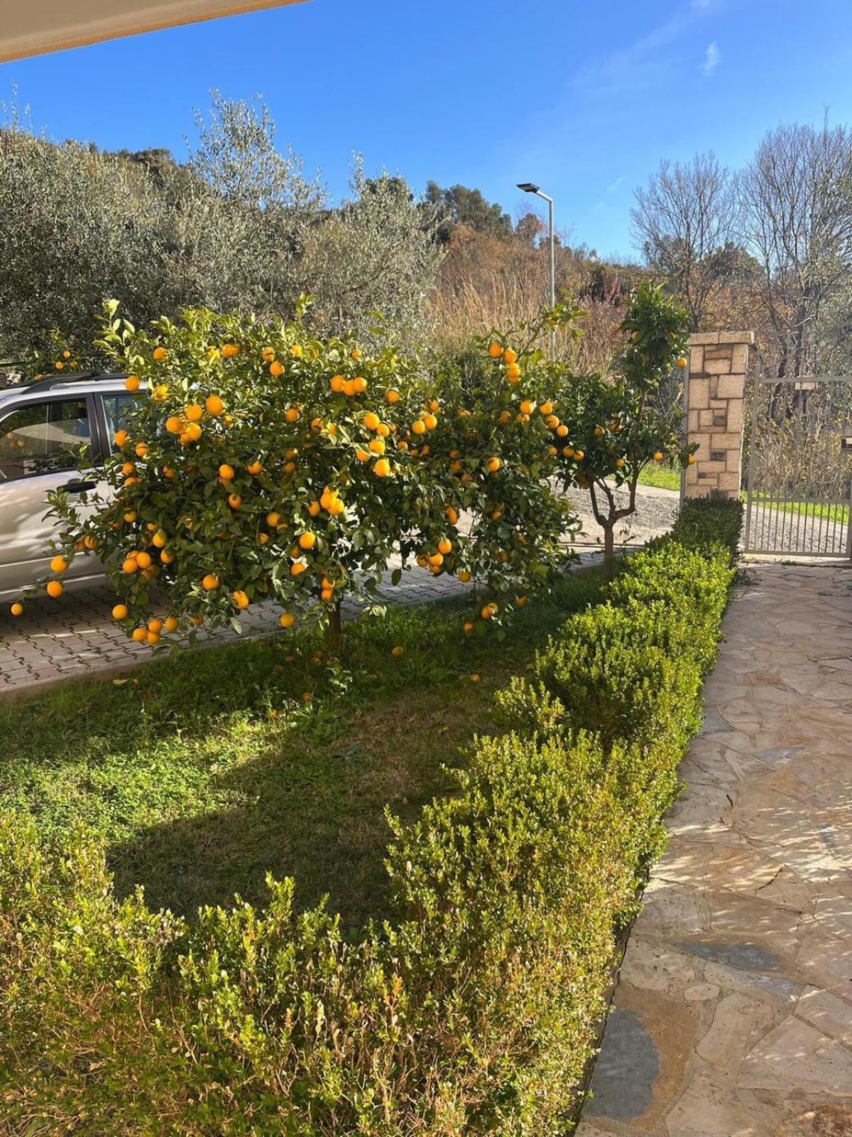 Villa Dei Limoni Škalngur 외부 사진