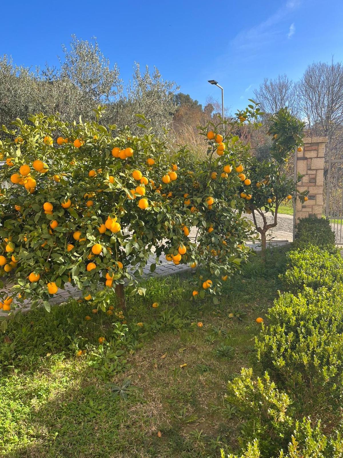 Villa Dei Limoni Škalngur 외부 사진